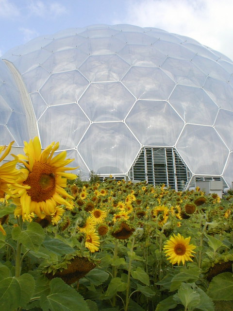 eden project biomes				